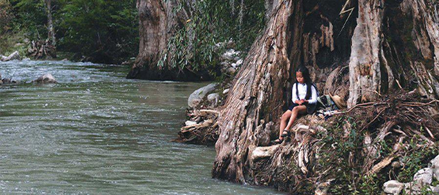 $!Está en marcha la 75 Muestra Internacional de cine de la Cineteca Nacional