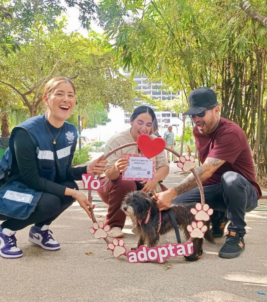 $!‘Huellitas del Bienestar’ logra 9 adopciones de perritos y gatitos durante su primera jornada del año