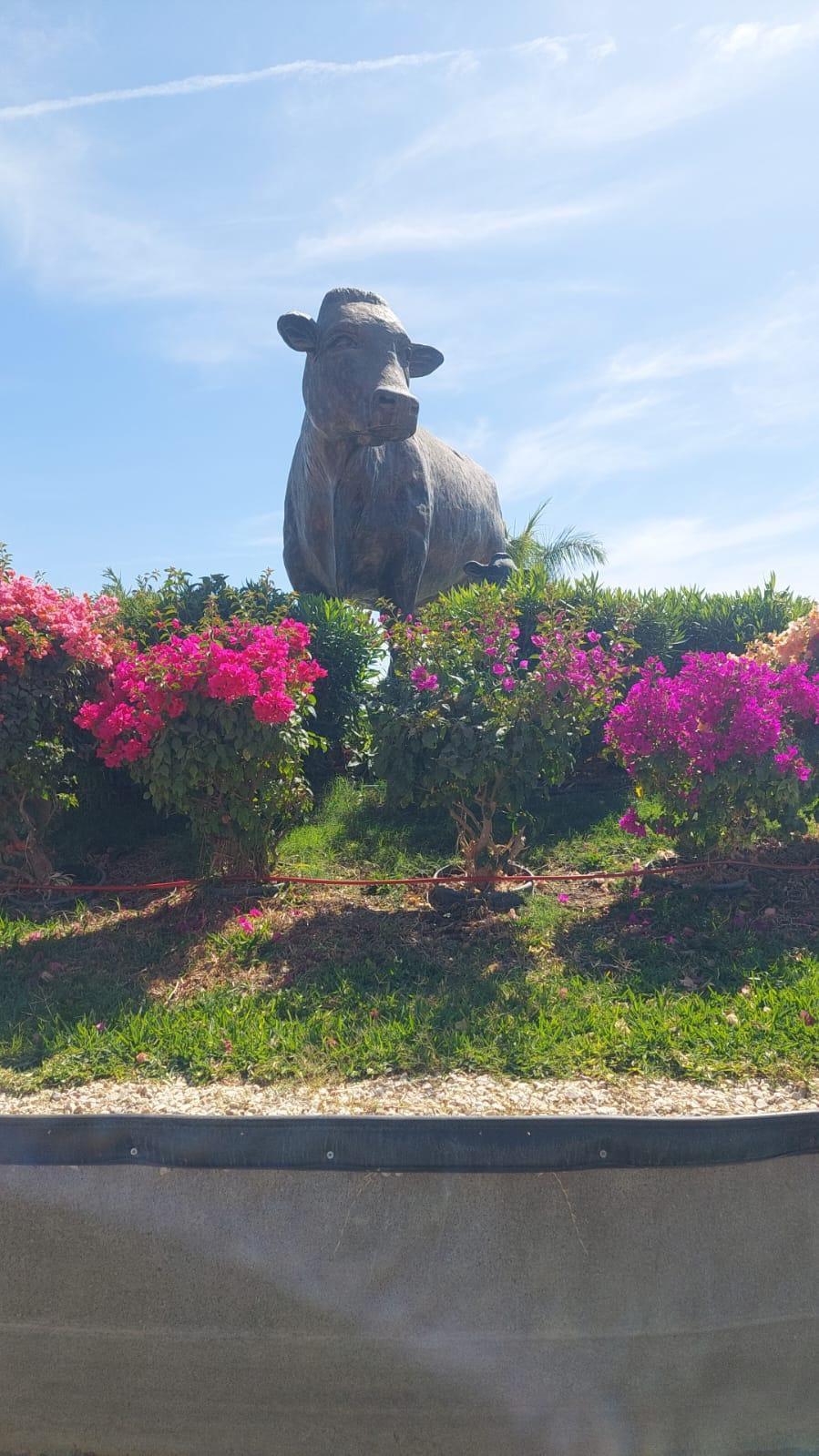 $!Sinaloa tiene condiciones para recuperar estatus zoosanitario; ‘estamos libres de enfermedades’: UGRS