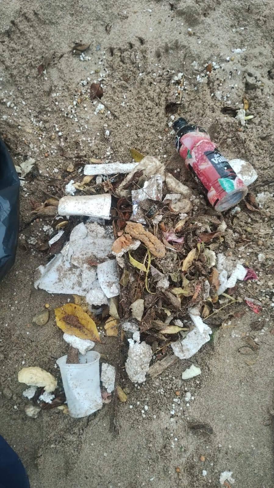 $!Las playas de Mazatlán también amanecieron con basura por las lluvias