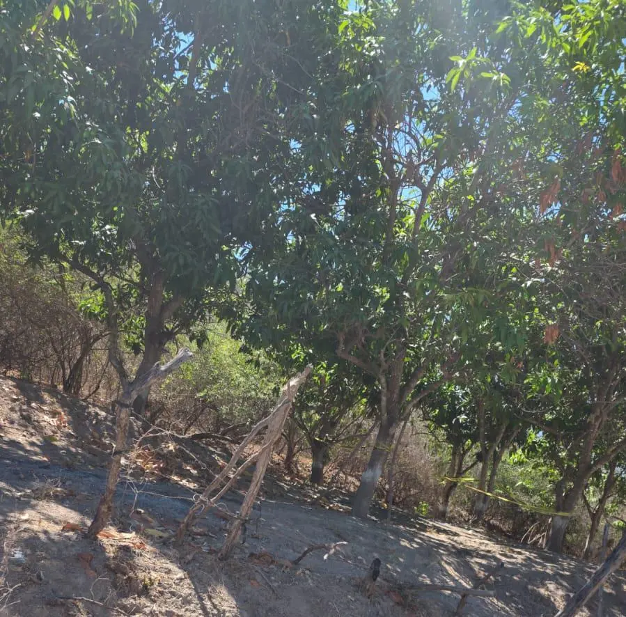 $!Hallan otras dos osamentas en zona de la Presa ‘El Peñón’, en Escuinapa