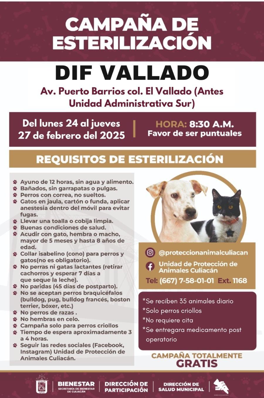$!Habrá campaña gratuita de esterilización para perros y gatos en DIF Vallado, en Culiacán