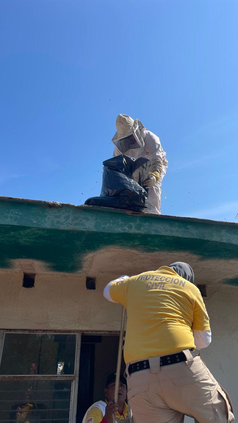 $!Elementos de Protección Civil de Escuinapa ingresan al hospital tras ser picados por abejas