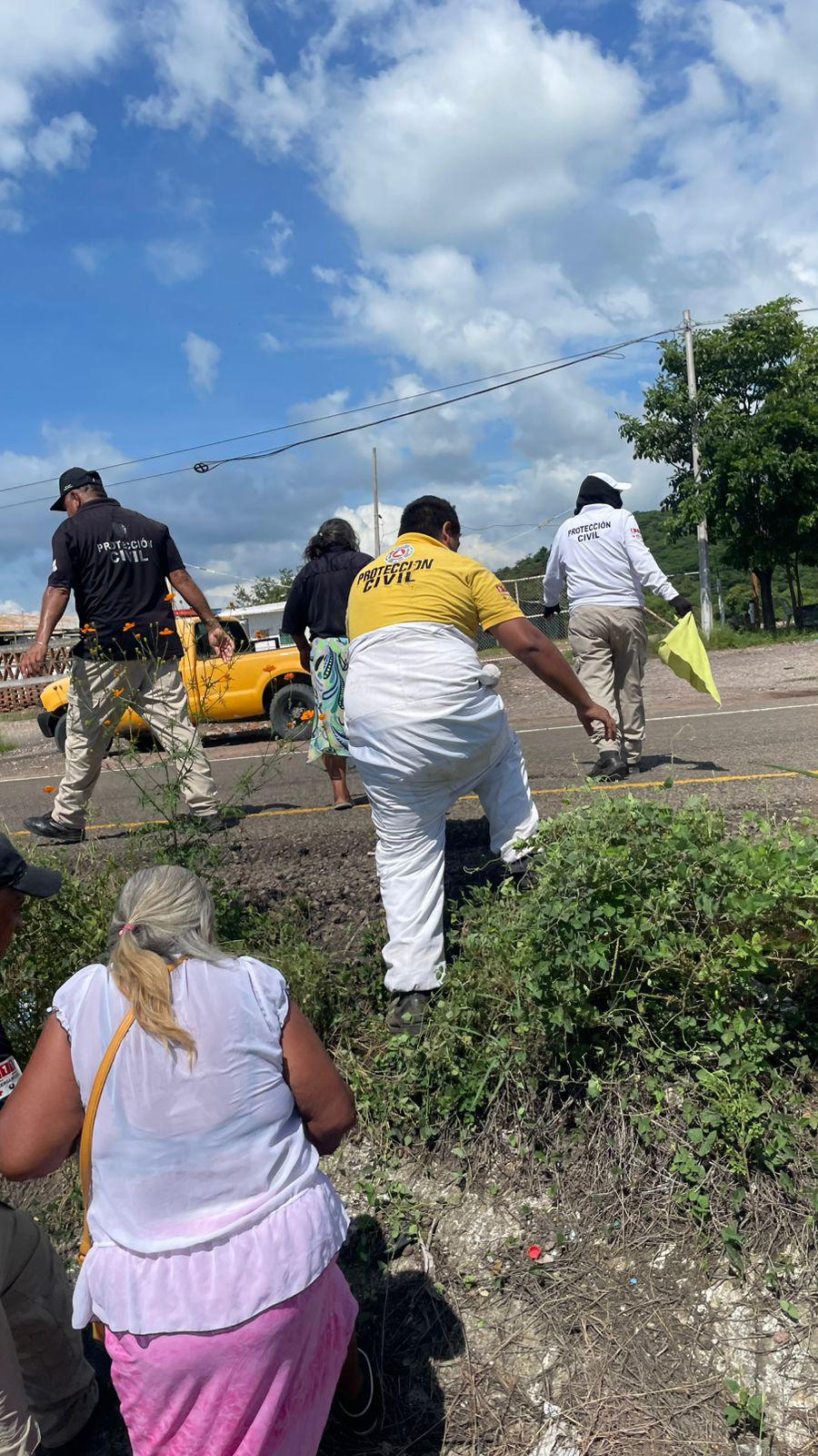 $!Comerciantes de camarón en la salida sur de Escuinapa son atacados por abejas