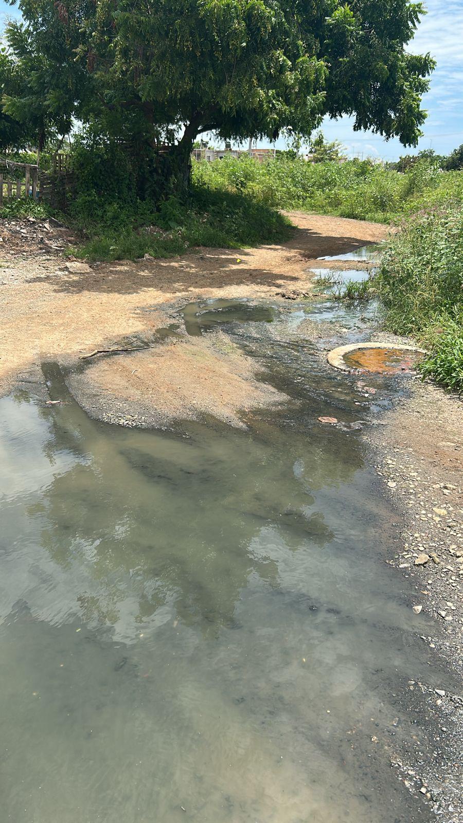 $!En Presas del Valle, en Mazatlán, vecinos denuncian riesgos por cableado