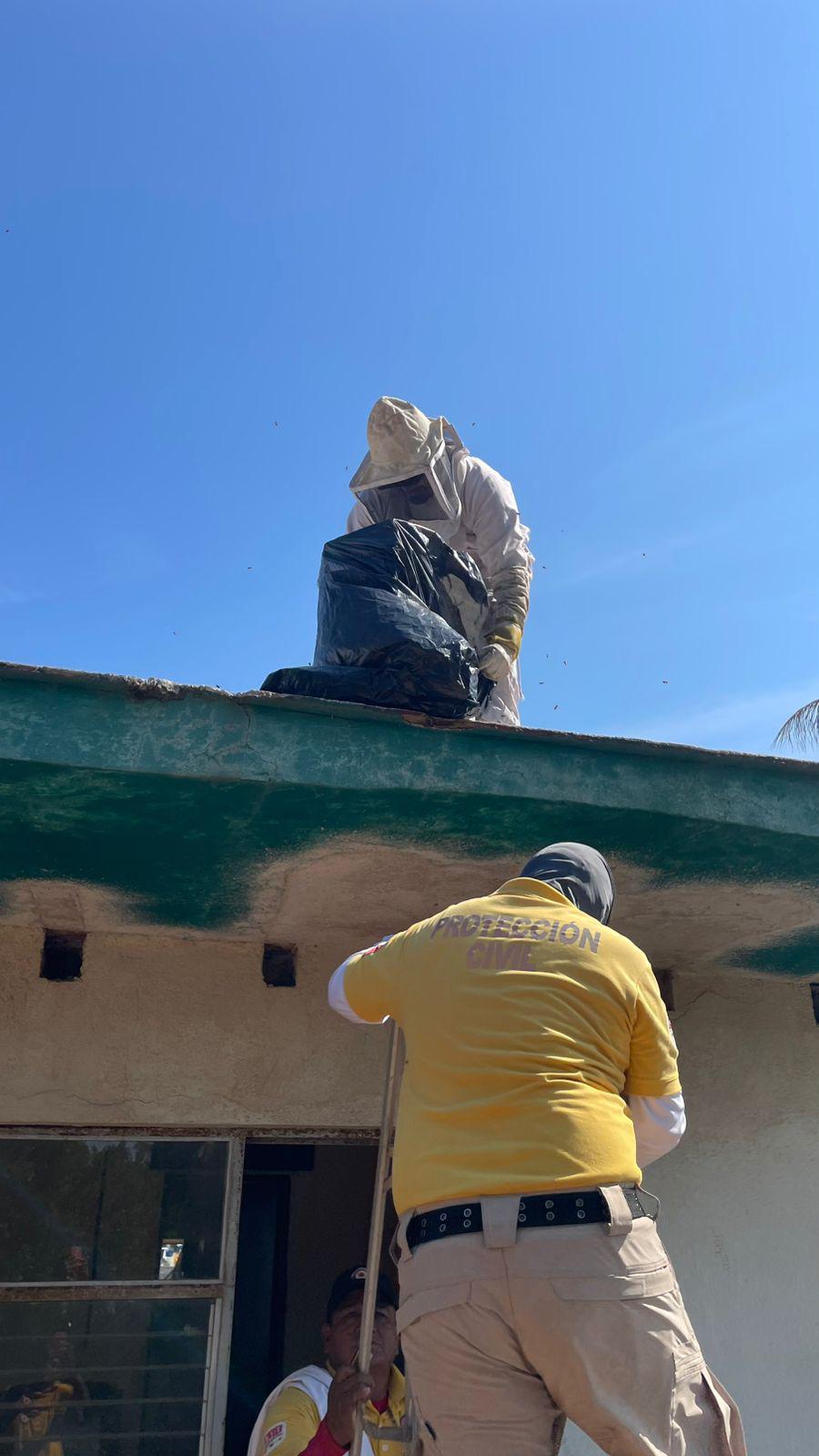 $!Elementos de Protección Civil de Escuinapa ingresan al hospital tras ser picados por abejas