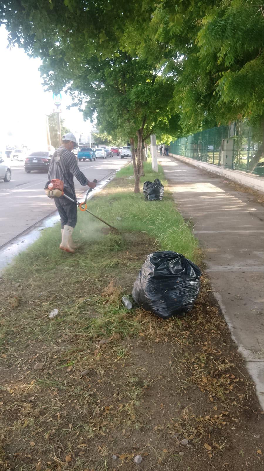 $!Instituto del Deporte de Ahome da mantenimiento a canchas tras lluvias recientes