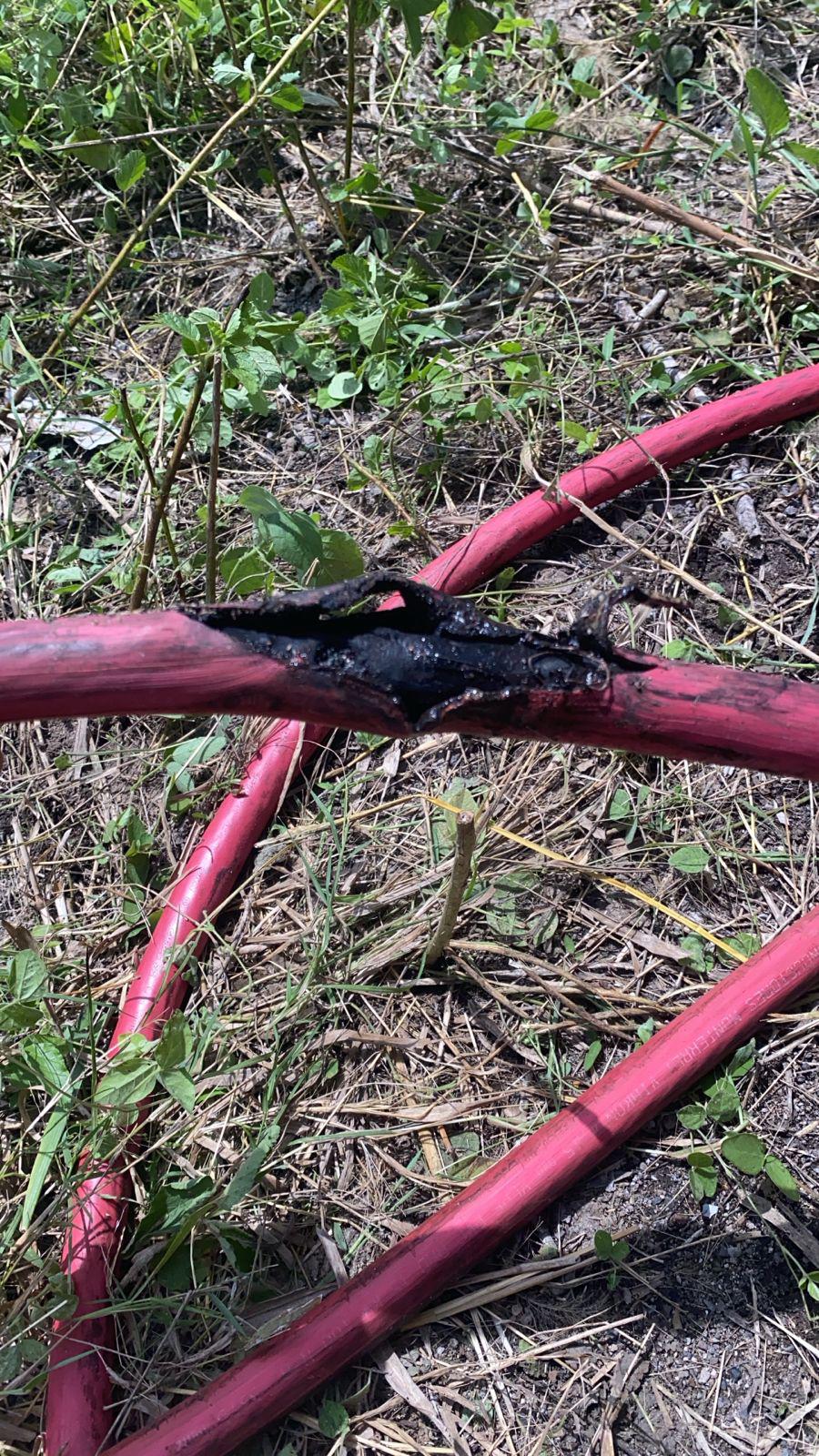 $!Servicio de energía eléctrica en IMSS Bienestar de Escuinapa quedó restablecido: director