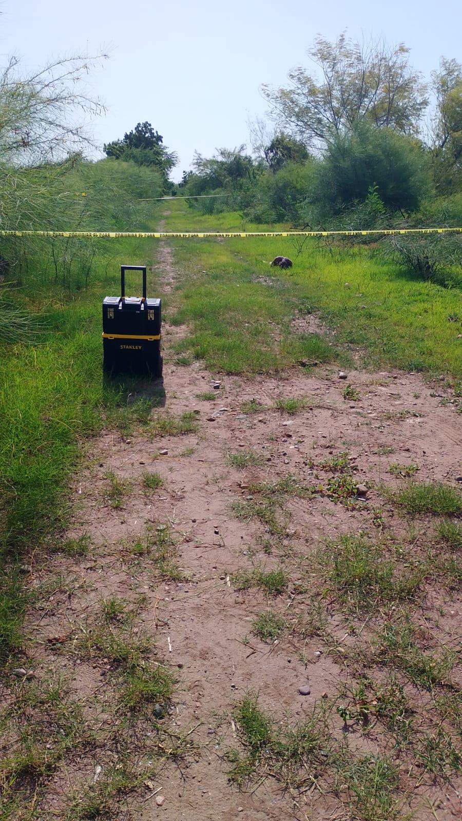 $!Hombre muere tras ser atacado por un caimán en un canal del Eldorado, al sur de Culiacán