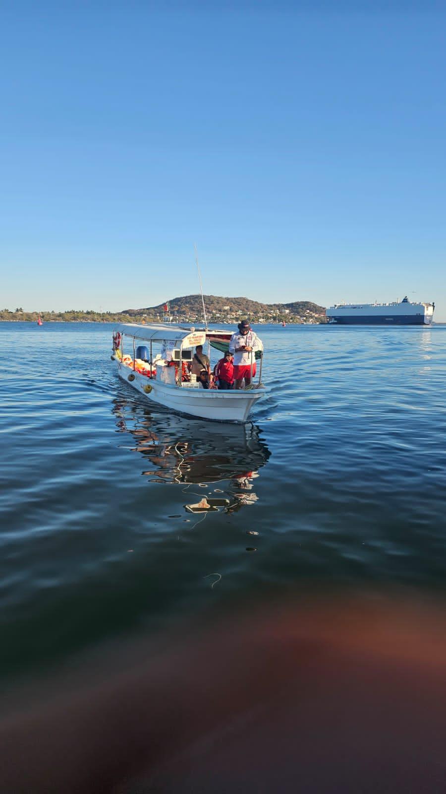 $!Salen lesionados tres turistas tras ser derribados por caballos en la Isla de la Piedra