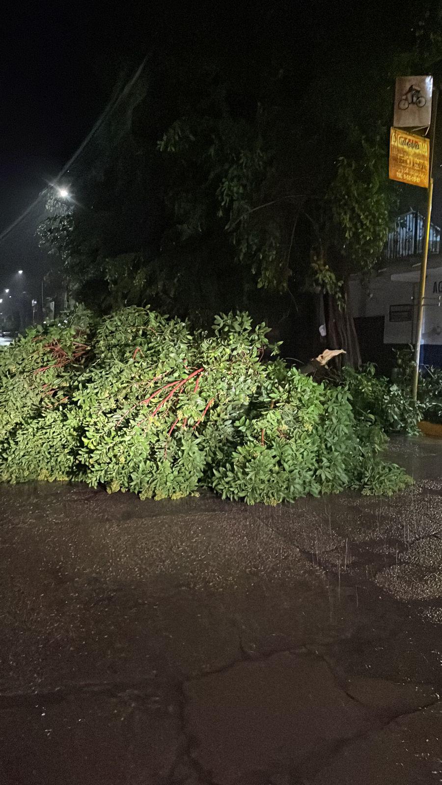 $!Se registran lluvias copiosas en Escuinapa por ‘Flossie’