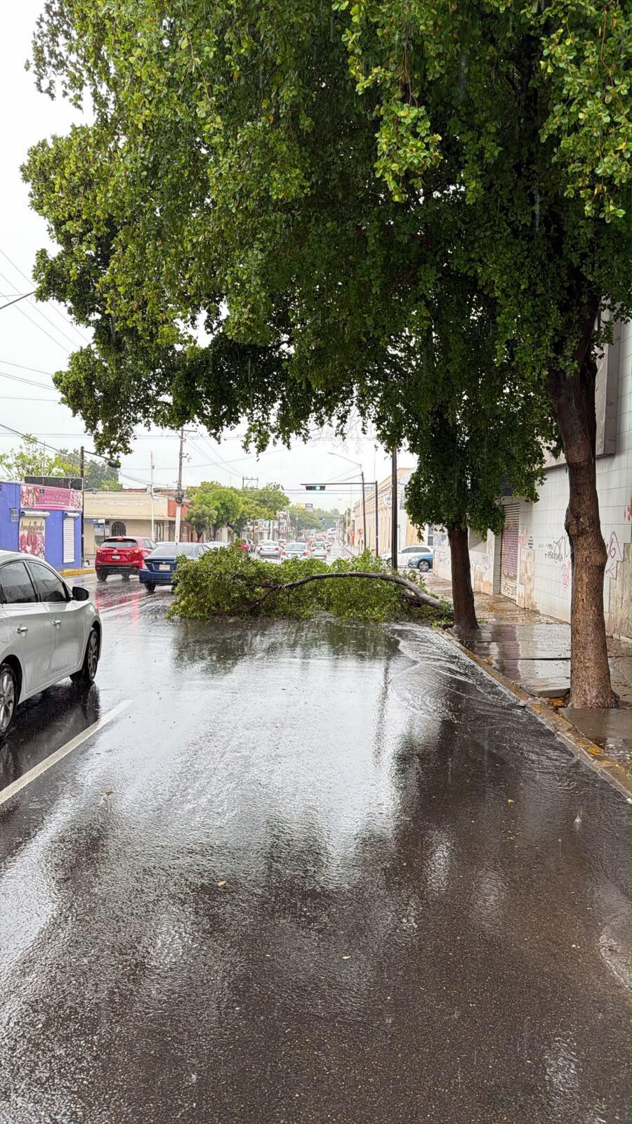 $!Reportan saldo blanco tras lluvias en Culiacán; Protección Civil atiende incidentes menores