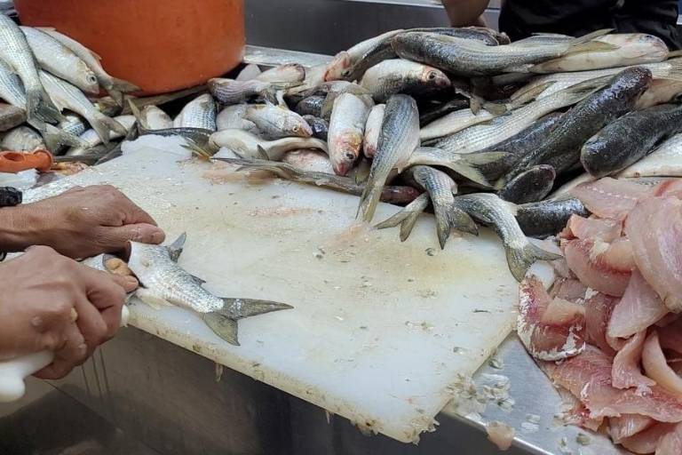 Aunque la Cuaresma significaba buenas ventas en el Mercado Garmendia, en Culiacán, esto no ha ocurrido esta semana.