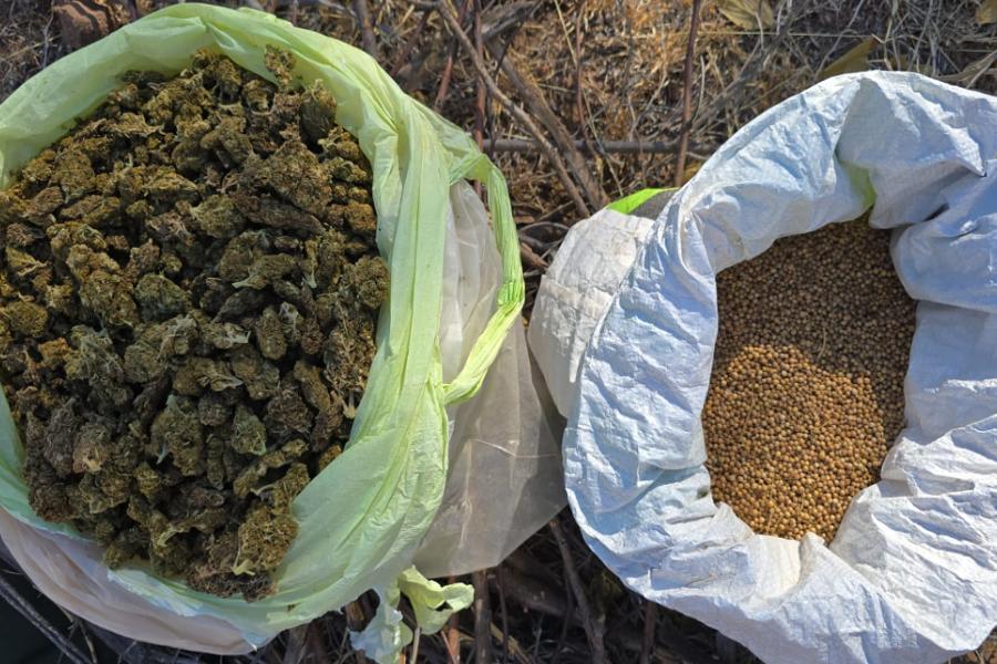 $!Decomisan 109 explosivos caseros y droga en Badiraguato