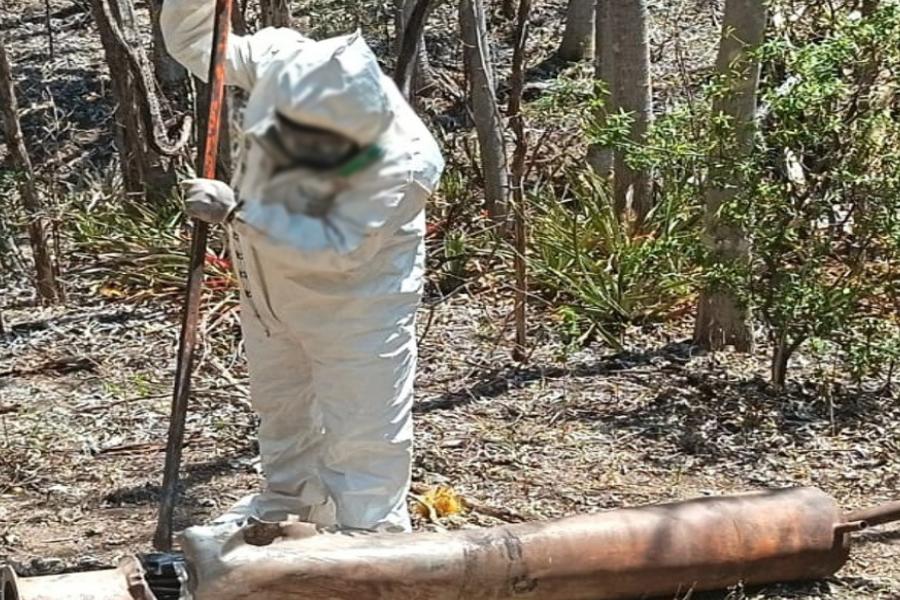 $!Aseguran laboratorios clandestinos de metanfetamina en Cosalá
