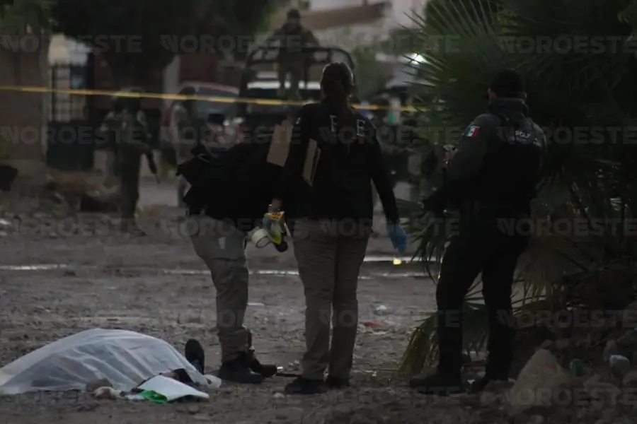 $!Sinaloa registra en 2025 la cifra más alta de asesinatos de mujeres en 15 años