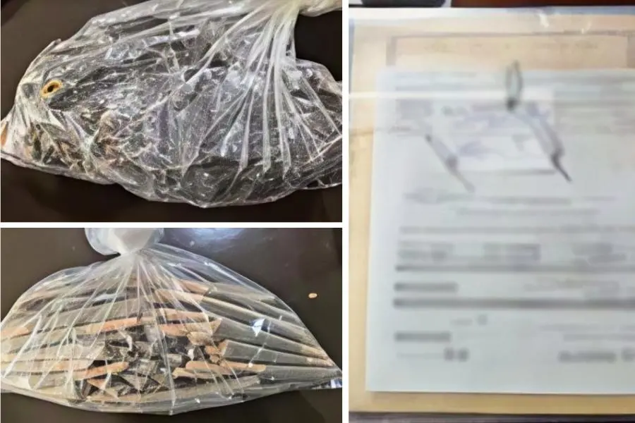 $!Detienen a cinco personas tras cuatro cateos en Navolato; aseguran droga y celulares