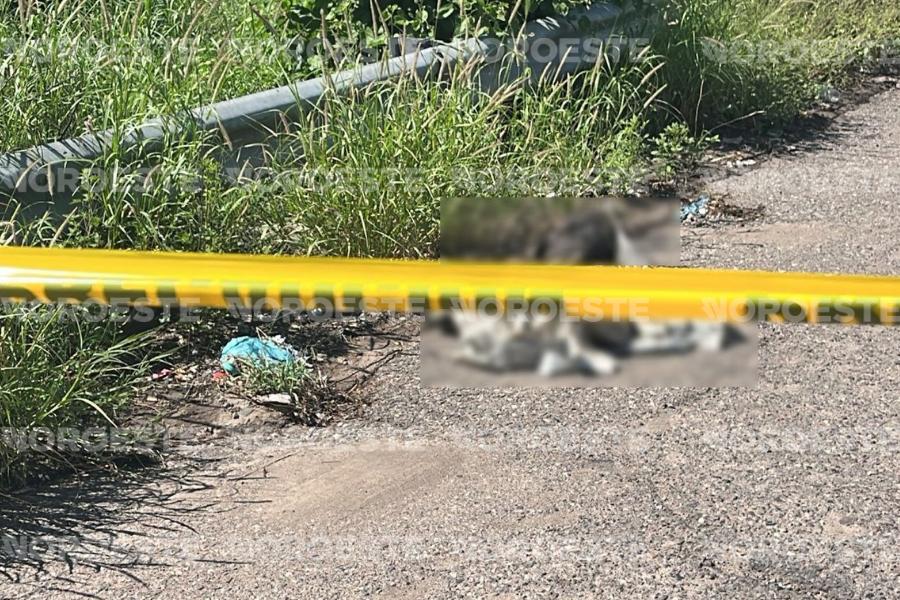 $!Abandonan restos humanos junto a la carretera La 12, en la sindicatura de Costa Rica, Culiacán