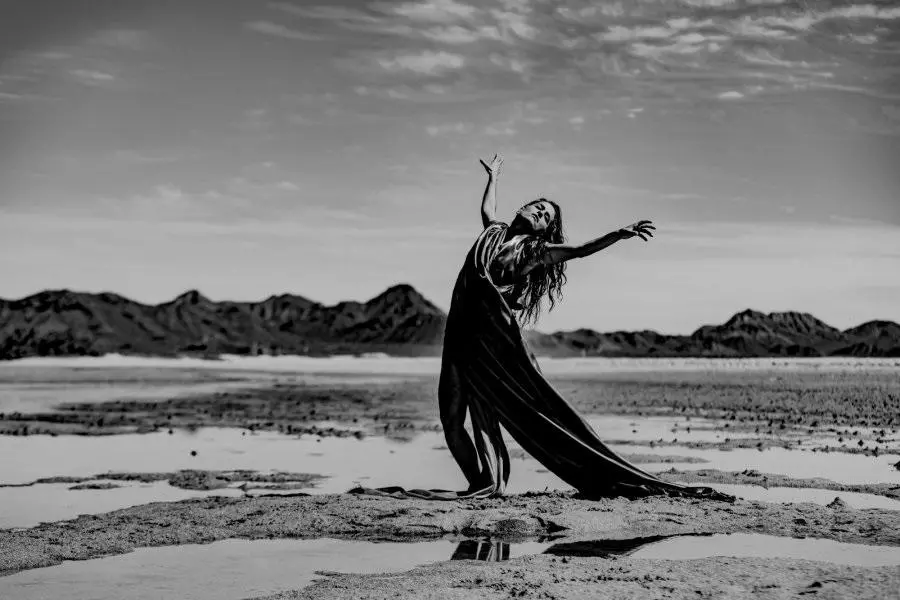 $!Los creadores artísticos pueden desarrollar proyectos en distintas disciplinas.