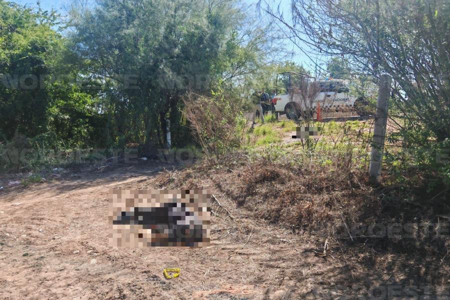 $!Hallan a dos hombres sin vida a un costado en ‘La Costera’, en Navolato