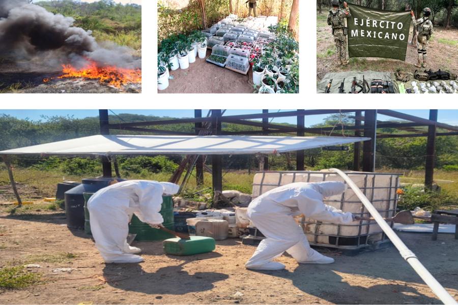 $!Desmantelan cuatro campamentos clandestinos y aseguran arsenal en Elota