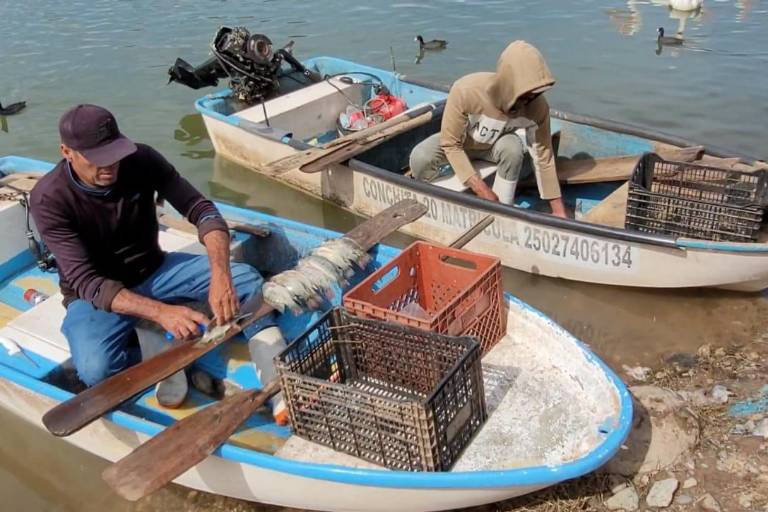 No todos los pescadores en la presa Sanalona reciben apoyos federales, aseguran productores
