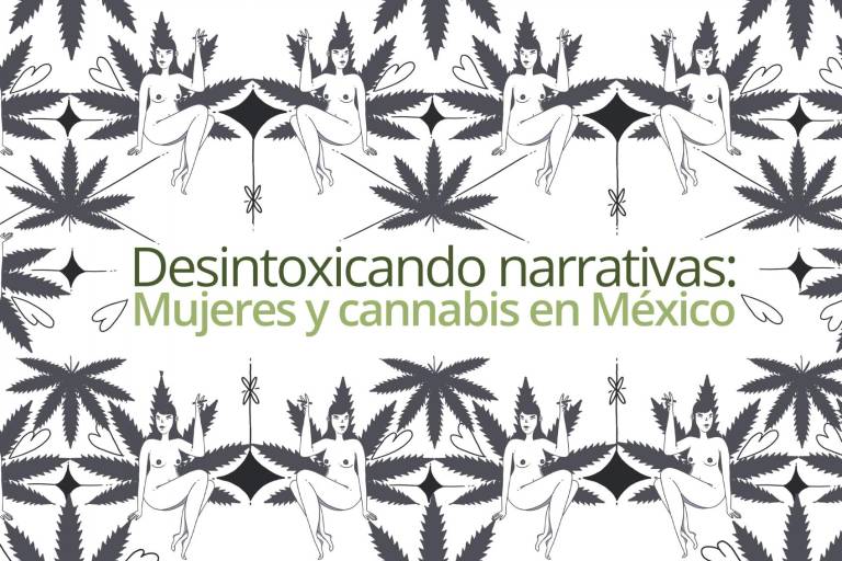 Desintoxicando narrativas: mujeres y cannabis en México