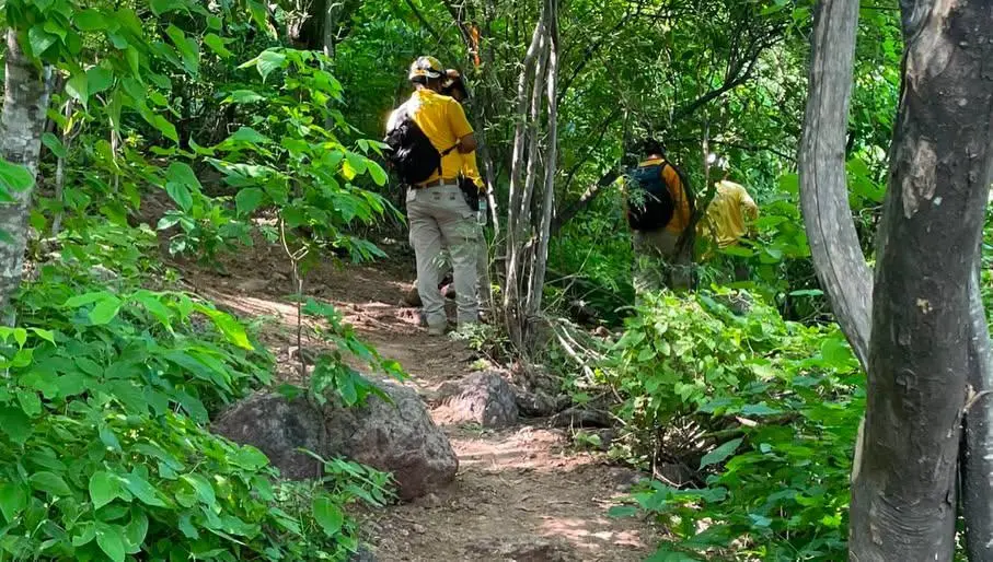 $!Buscan a dos senderistas reportados como extraviados en el Cerro de la Virgen, en Culiacán