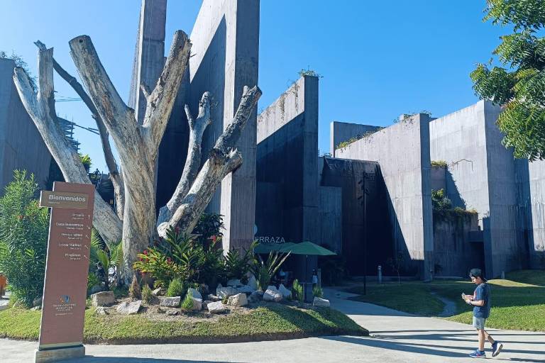 Atienden 300 especies en 2024 provenientes de rescates en el Hospital de la Fauna del Gran Acuario