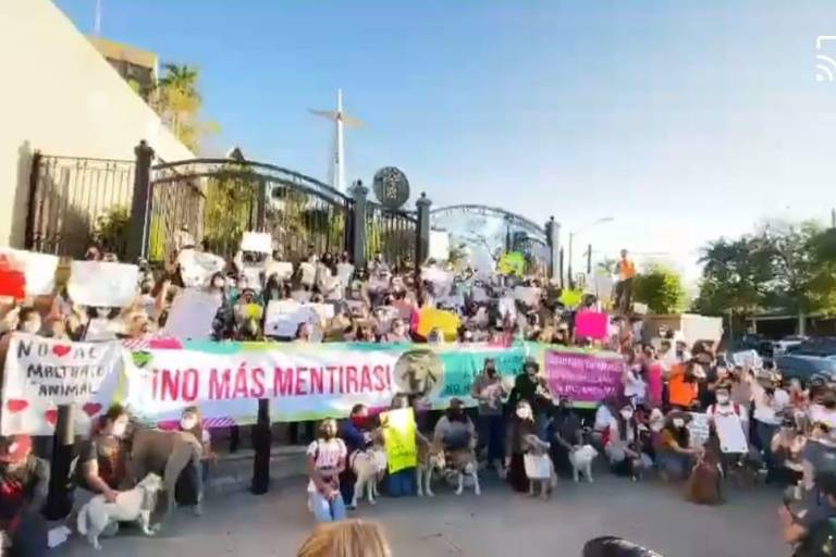 Tenemos que unirnos en una sola voz: exige Culiacán justicia por el perrito Rodolfo