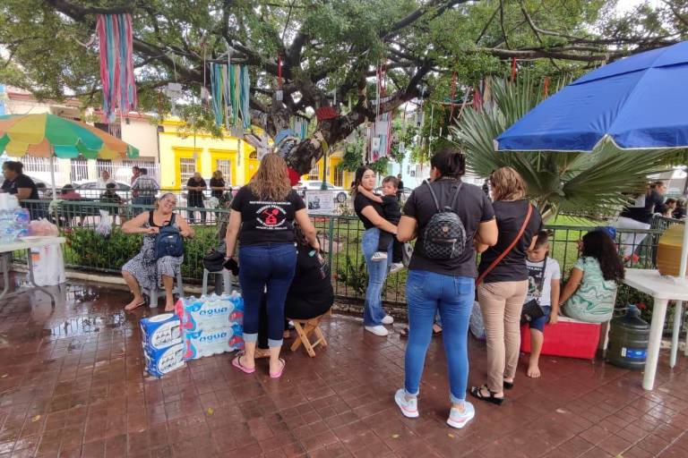 Rastreadoras mazatlecas conmemoran a sus desaparecidos en el ‘Árbol de la Vida’