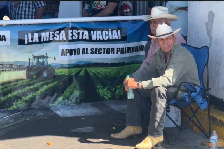 Productores buscan un precio de 7 mil pesos por tonelada de maíz