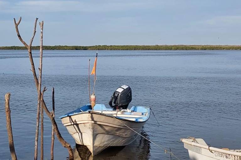 Se encuentran desaparecidos cuatro pescadores de Dautillos al salir a capturar tiburón