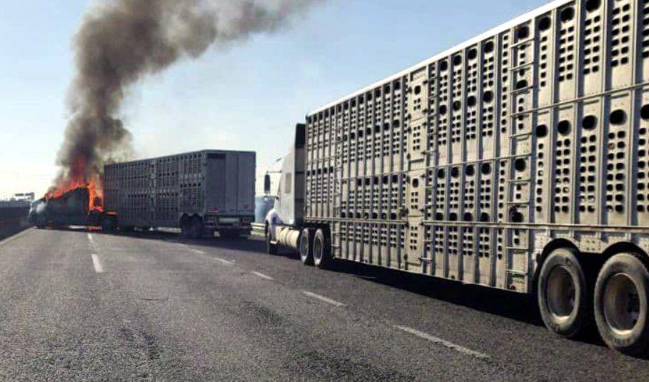 $!Enfrentamiento entre Guardia Nacional y civiles armados generan bloqueos en Jalisco