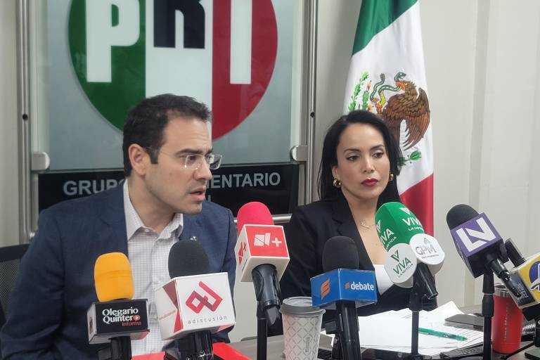 Rechaza Diputada del PRI propuesta de usar zopilotes en búsqueda de personas; ‘no necesitamos cuentos’, dice