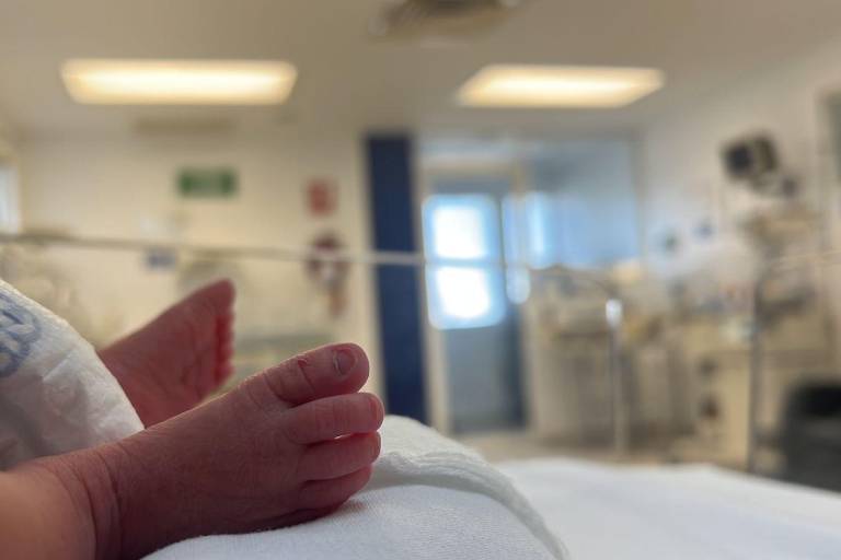 Abandonan entre el monte a una bebé prematura en Isla del Bosque, Escuinapa