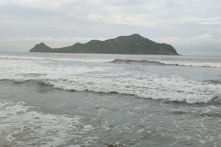 Llama Oceana a líderes mundiales a alcanzar acuerdo que proteja los océanos 