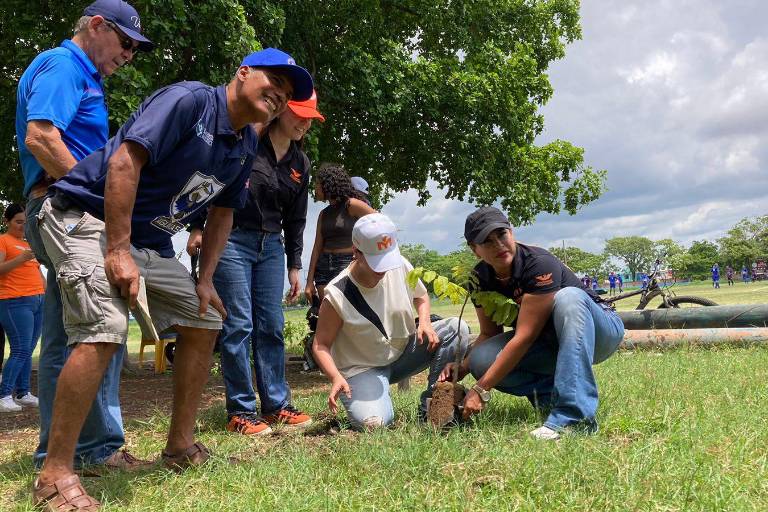 Donan más de 20 arbolitos al Club Muralla en pro de la reforestación de áreas verdes