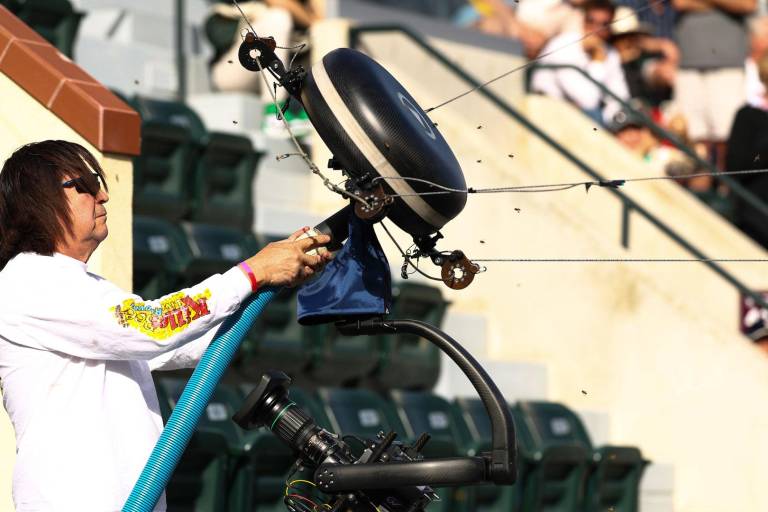 Suspenden juego entre Alcaraz y Zverev por invasión de abejas