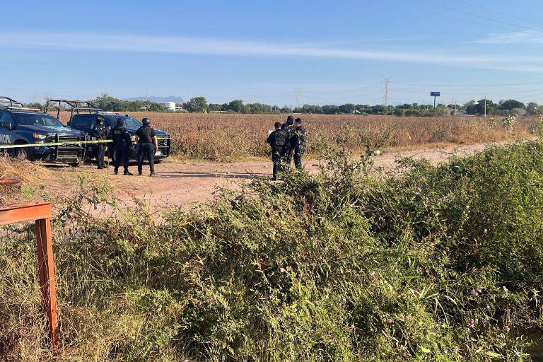 Hallan sin vida a mujer con disparos en ejido Buenos Aires de Navolato