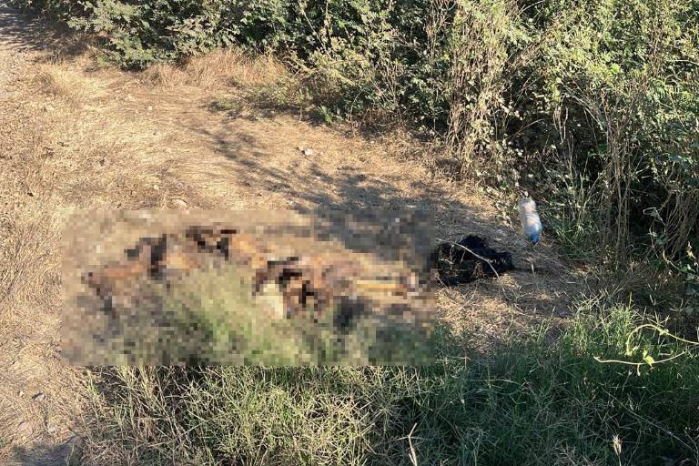 Encuentran restos humanos en Costa Rica, al sur de Culiacán