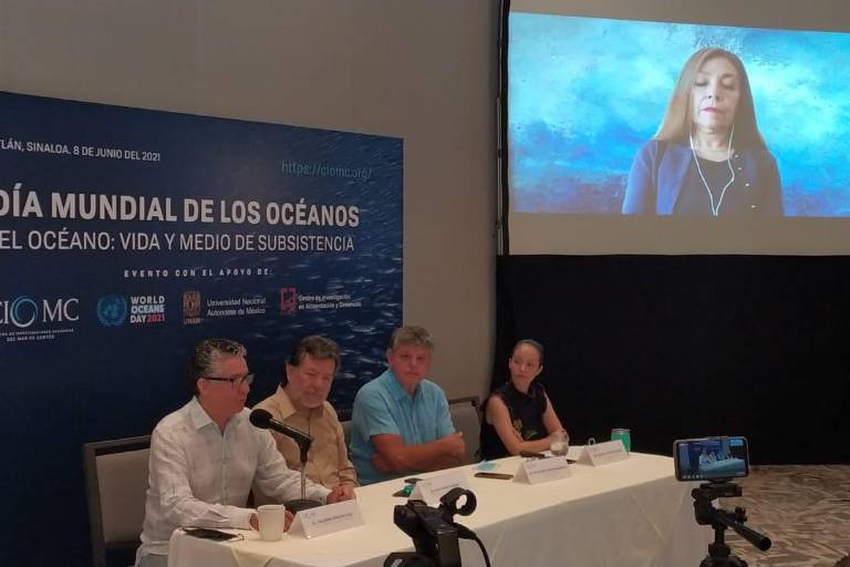 Presentan Centro de Investigaciones Oceánicas del ‘Mar de Cortés’ del nuevo Acuario Mazatlán