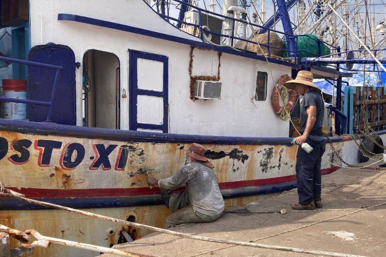 Menos del 50% de la flota camaronera de Mazatlán zarpará por falta de recursos