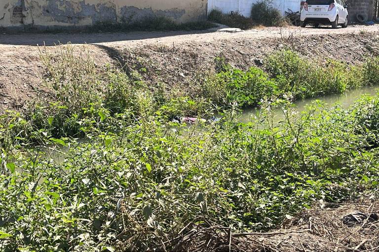 Hallan un hombre asesinado en un canal de el Campo El Diez, al sur de Culiacán