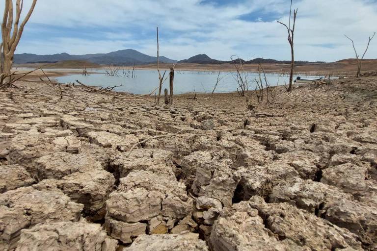 Faltan dos meses para el verano y 15 municipios de Sinaloa ya tienen sequía, revela Conagua