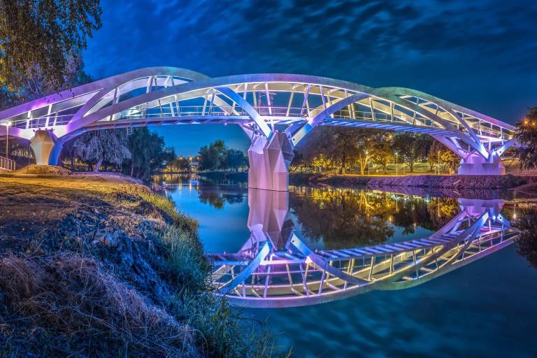 Seamos realistas y mejoremos México