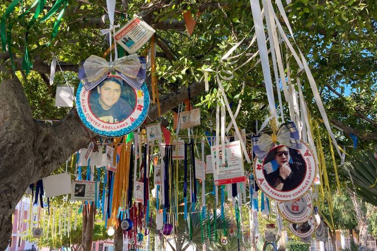 Cuelgan en el Árbol de la Vida en Mazatlán fotografías de personas desaparecidas
