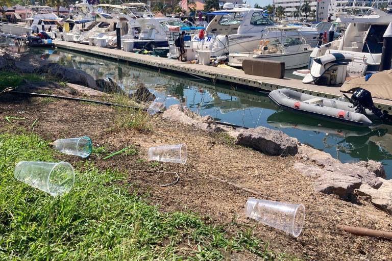 Marea plástica atenta contra el ecosistema marino: ambientalista