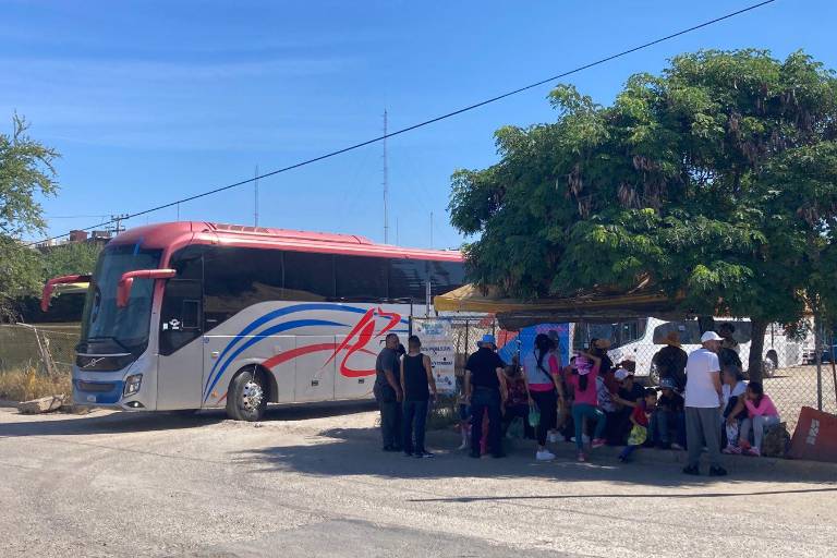 Mientras choferes charter registran baja afluencia, el turismo se siente seguro en Mazatlán