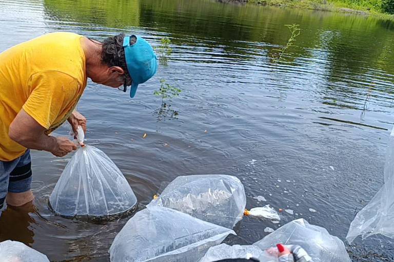 Piden pescadores del Sur de Sinaloa se determine nuevo periodo para ‘levantar veda’